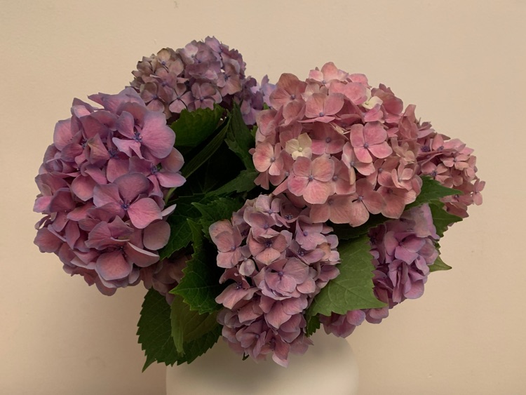 Les Fleur slider image