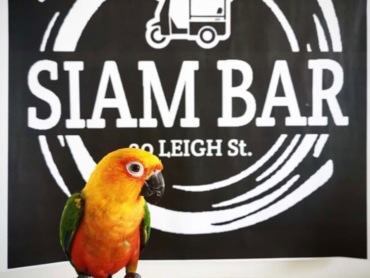 Siam Bar slider image