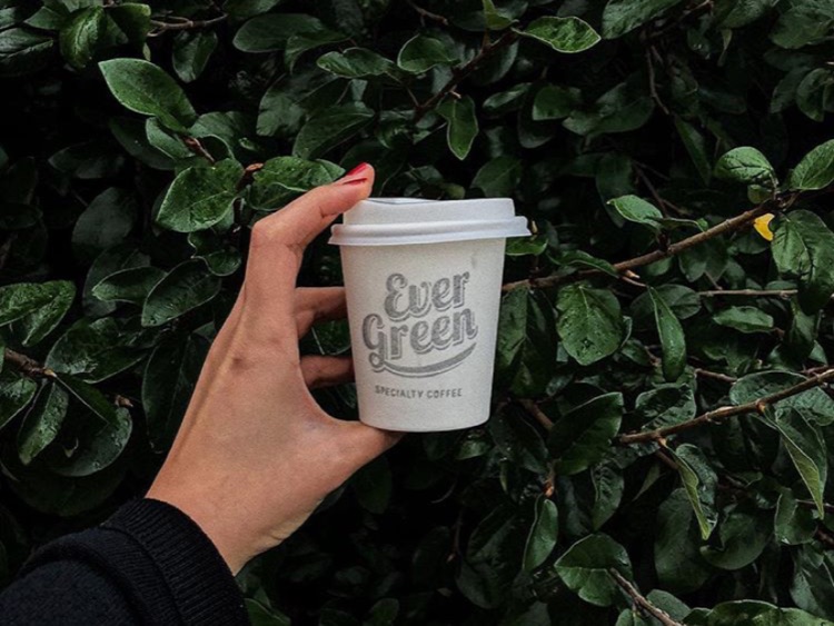 Evergreen Specialty Coffee slider image
